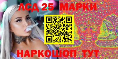 стаф Гатчина