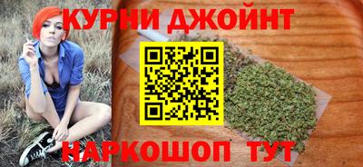 стаф Гатчина