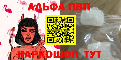 стаф Гатчина