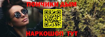 стаф Гатчина