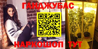 не бодяженный Гай