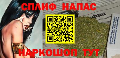 гашик Гагарин