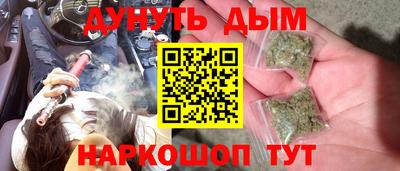 стаф Гатчина