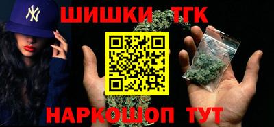 стаф Гатчина