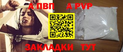 стаф Гатчина
