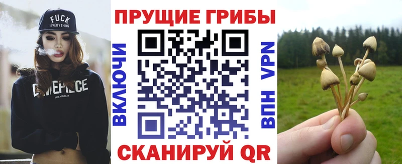 Псилоцибиновые грибы MAGIC MUSHROOMS  Волхов 