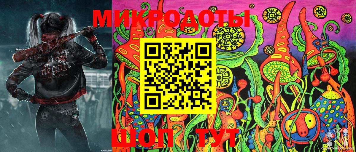 Псилоцибиновые грибы Psilocybe Волхов