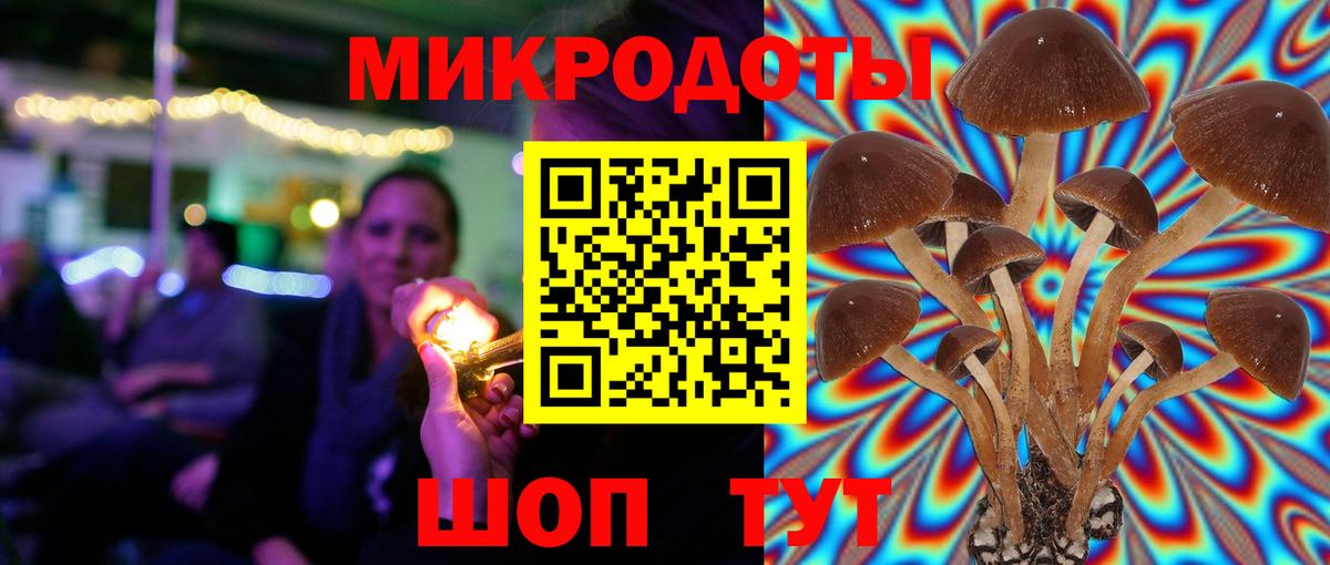 Лсд 25 Волхов