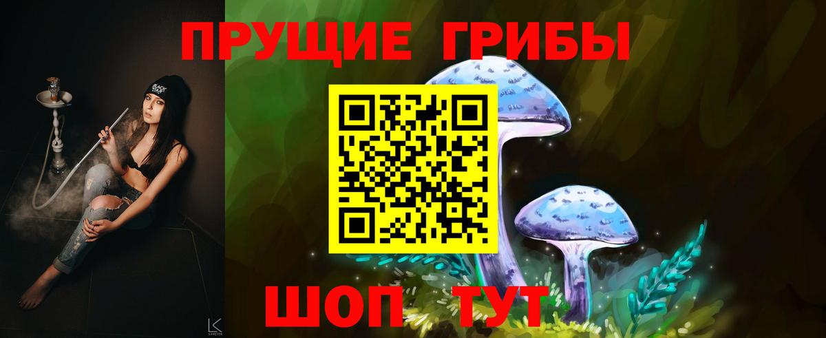 Галлюциногенные грибы Cubensis  наркошоп  Волхов  Вход с VPN 