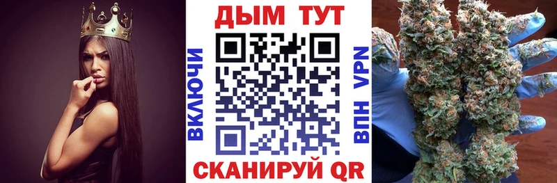 наркота  Волхов  Марихуана индика 